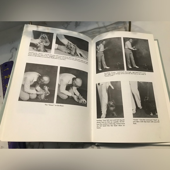 Yorkshire Terrier Vintage Book & teacup - Picture 11 of 13